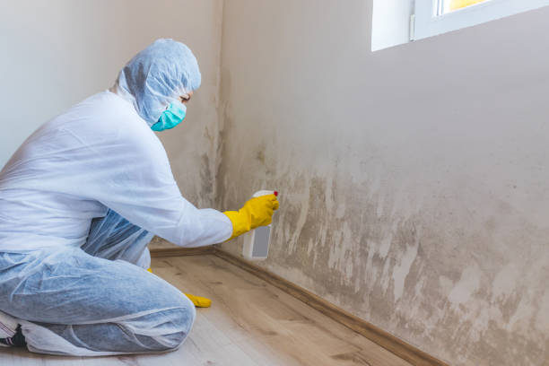 Bathroom Mold Removal assessment in Rixeyville bathroom
